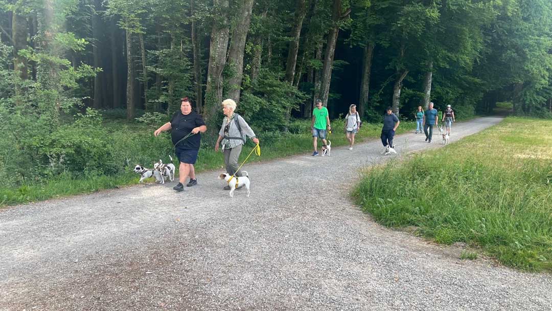 310526 En forêt avec "Auf 4 Pfoten" (16)