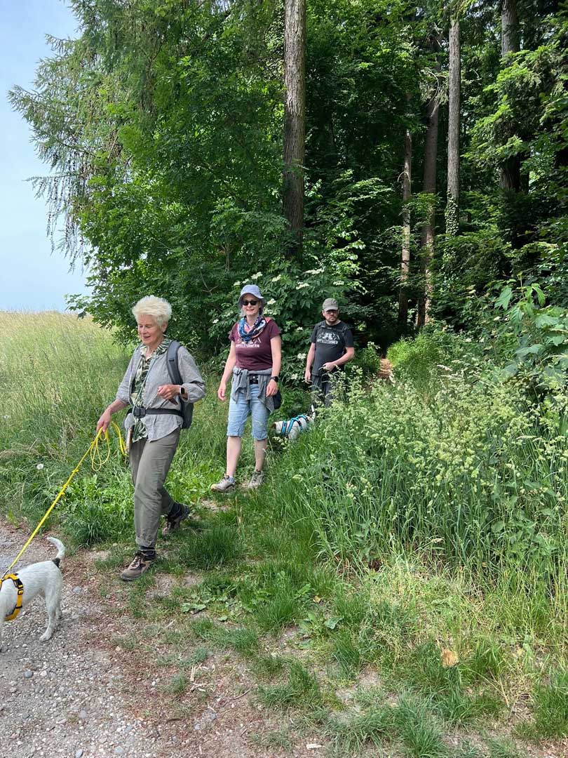 310526 En forêt avec "Auf 4 Pfoten" (7)