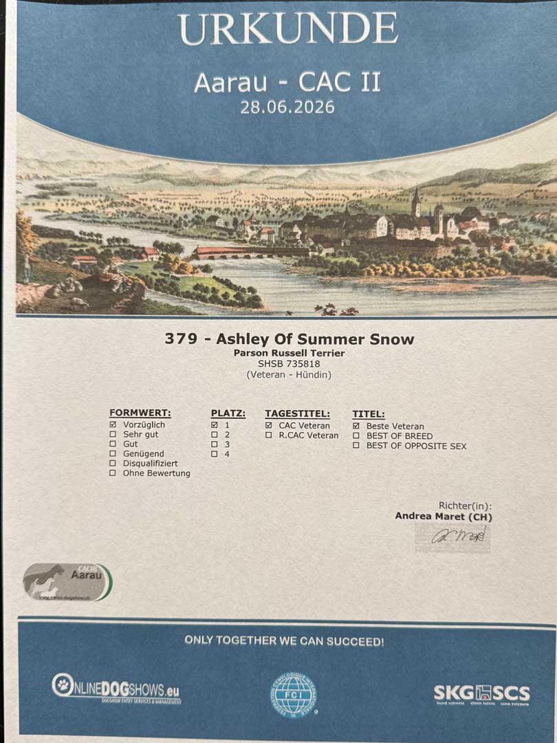 Ashley Of Summer Snow Exposition Aarau 2026 (6)