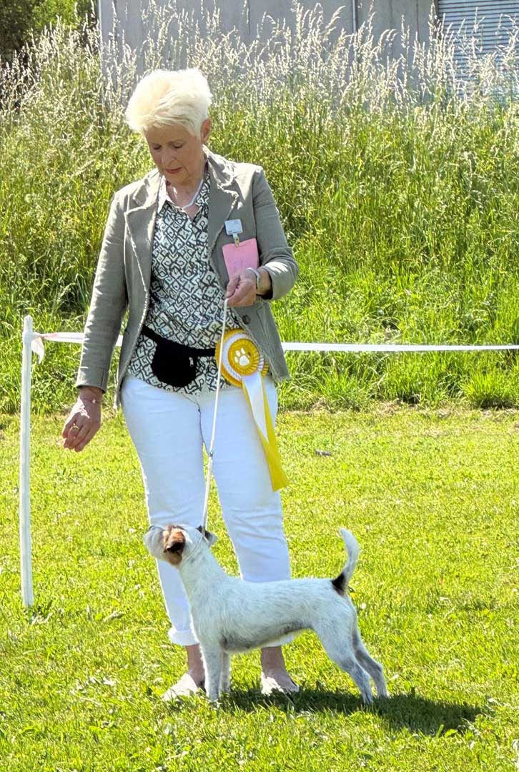 Gucci 2026 Oberhasli (8)