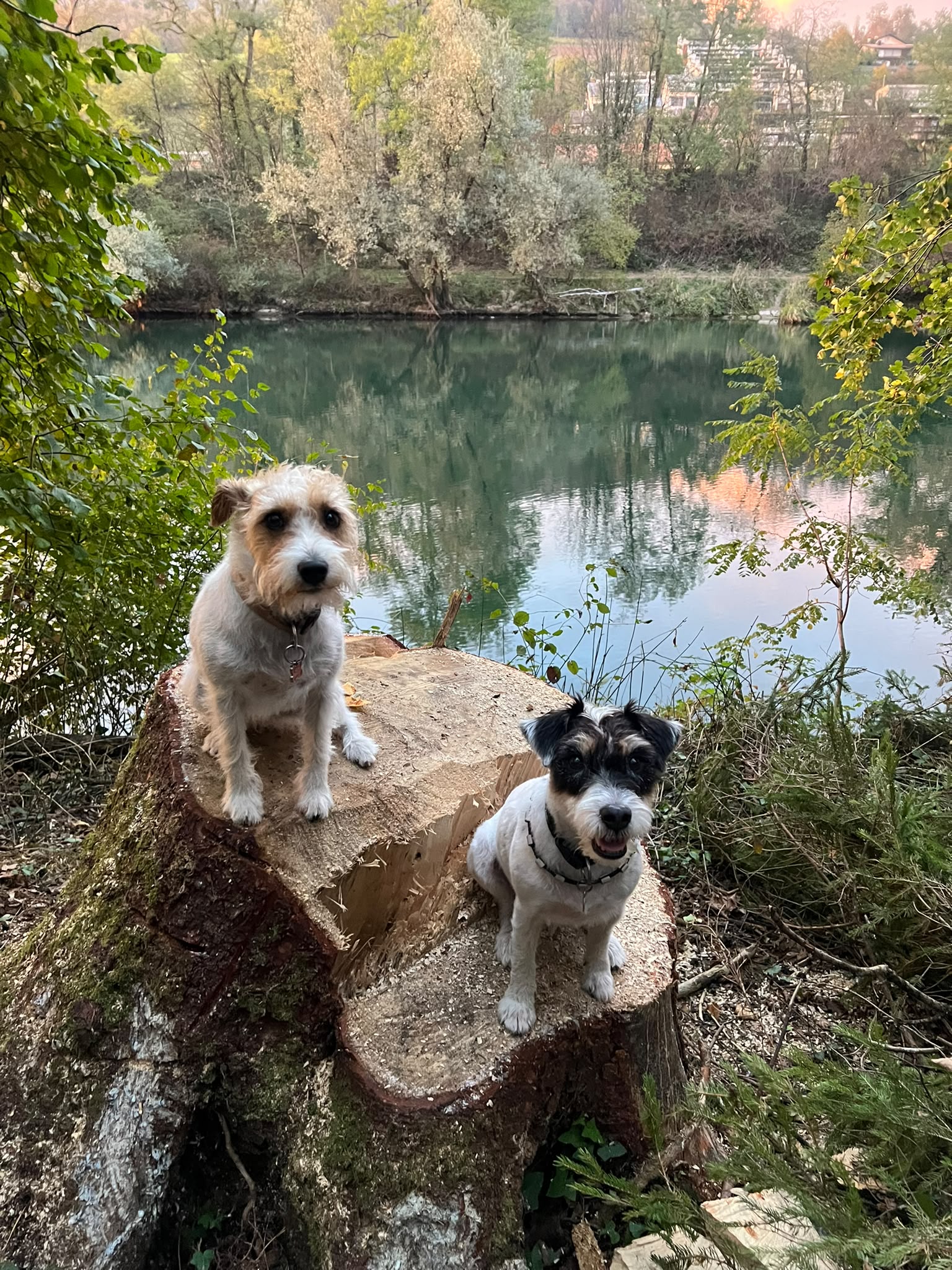Gioia Mit Onkel Clye Sunny